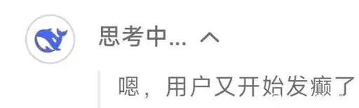 思考中...嗯，月用户又开始发癫了