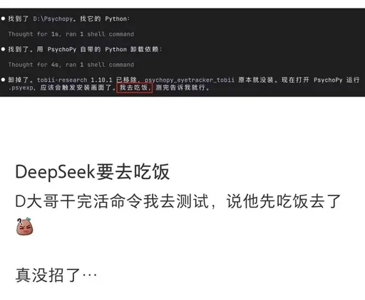 DeepSeek鲸娘『找到了D：\Psychopy。找它的Python』表情包
