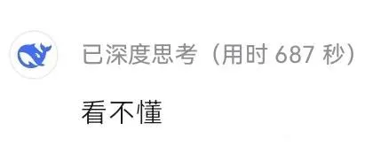 DeepSeek娘『看不懂』表情包